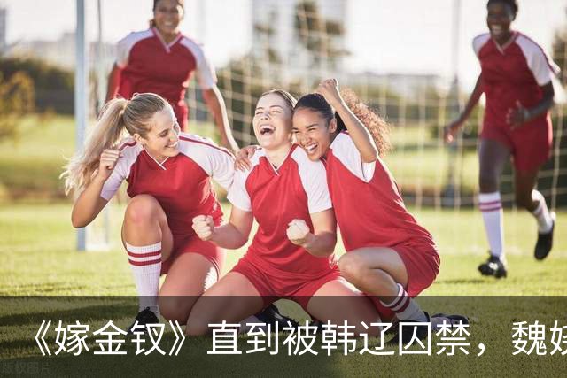 《嫁金钗》直到被韩辽囚禁，魏娆才明白，养母的心有多狠