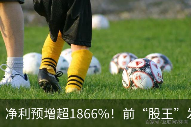净利预增超1866%！前“股王”发布“炸裂”业绩预告