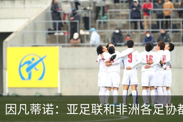 因凡蒂诺：亚足联和非洲各足协都支持我；我尊重所有意见