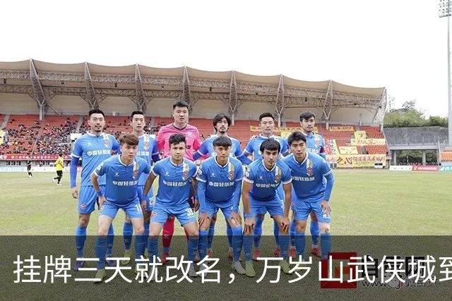 挂牌三天就改名，万岁山武侠城到底要什么？