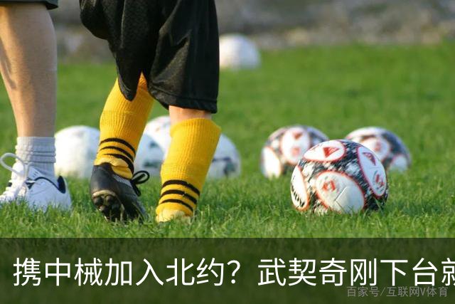 携中械加入北约？武契奇刚下台就生变数，普京致电反对，中方咋办