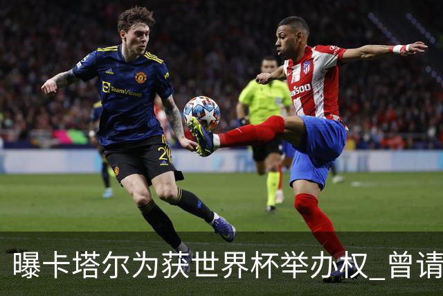 曝卡塔尔为获世界杯举办权 曾请前CIA特工监听FIFA