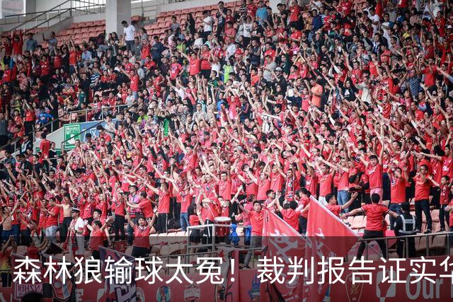 森林狼输球太冤！裁判报告证实华子关键球被犯规：两次错漏判都是骑士获利