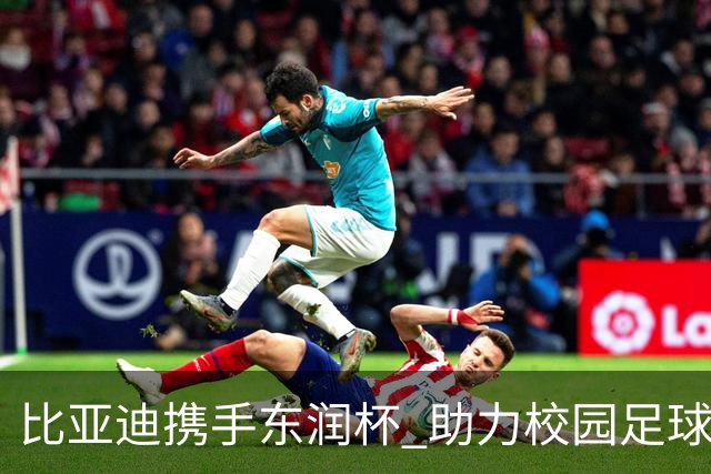 比亚迪携手东润杯 助力校园足球少年圆梦工体