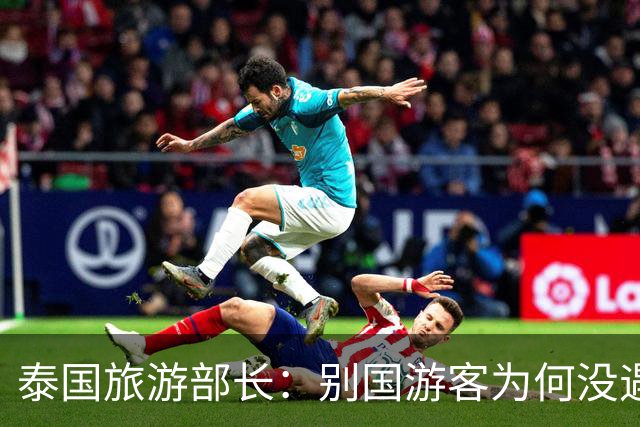 泰国旅游部长：别国游客为何没遇到绑架？