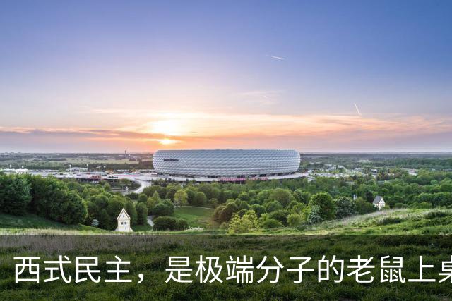 西式民主，是极端分子的老鼠上桌